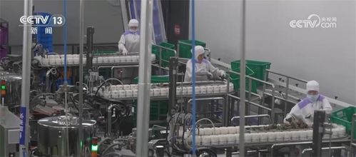 口味升級 跨界 上新 海外 出圈 舌尖上的 端午經(jīng)濟 釋放消費活力